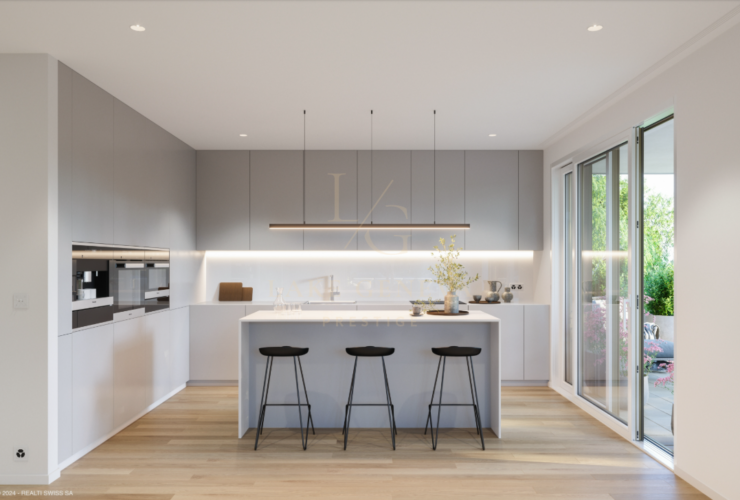 Superbe attique de 6 pièces avec terrasse exceptionnelle - En cours de construction