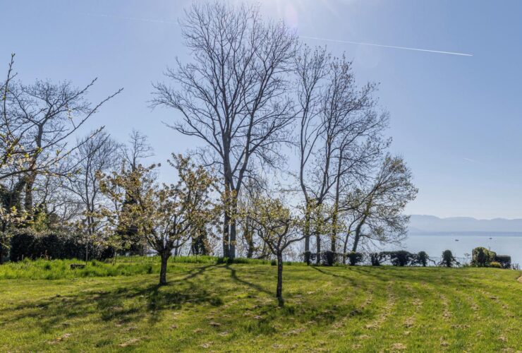 Opportunité unique – Maison pieds dans l’eau au fort potentiel