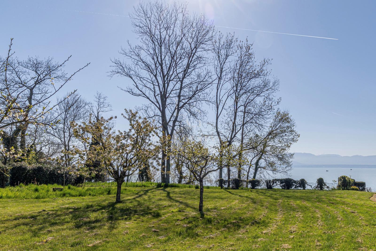 Opportunité unique – Maison pieds dans l’eau au fort potentiel