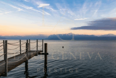 Terrain pieds dans l'eau de près de 6'000 m2 avec ponton privé