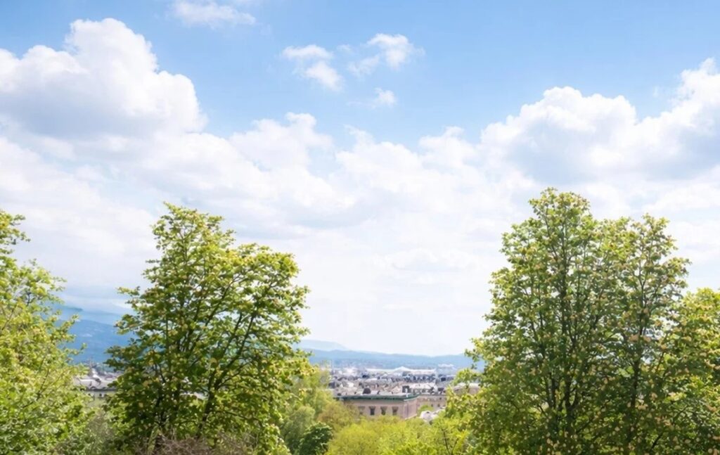 ÉLÉGANT APPARTEMENT DE CARACTÈRE AVEC VUE DÉGAGÉE SUR LE PARC DES BASTIONS